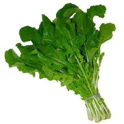 Produto RÚCULA HIDROPONICA